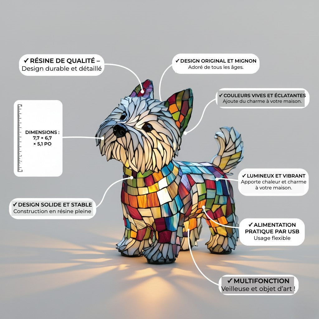 Kiko Chien Enchanté – caractéristiques