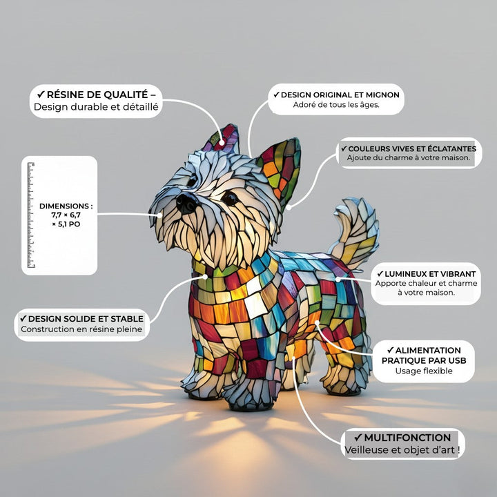 Kiko Chien Enchanté – caractéristiques