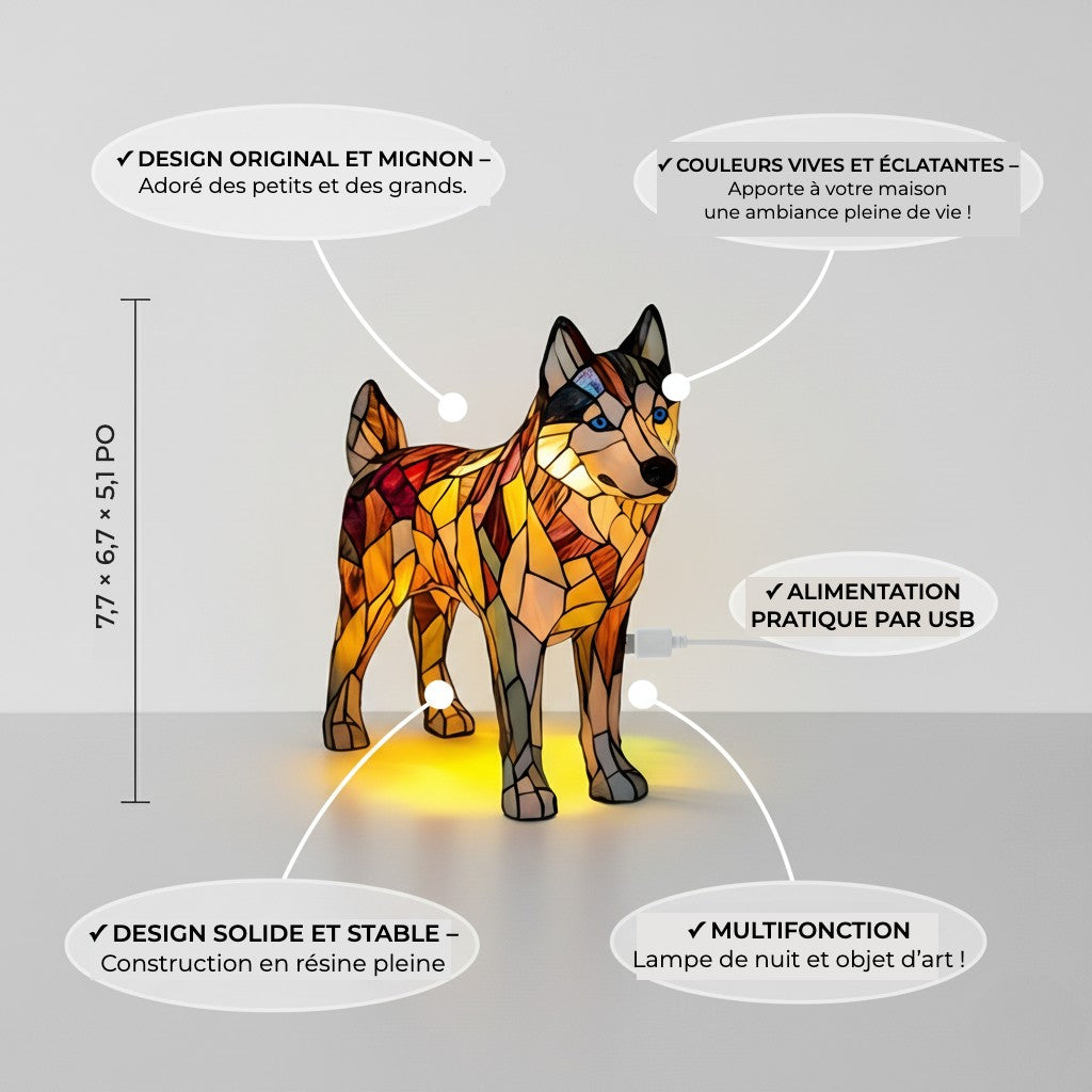 Nala Chien Enchanté