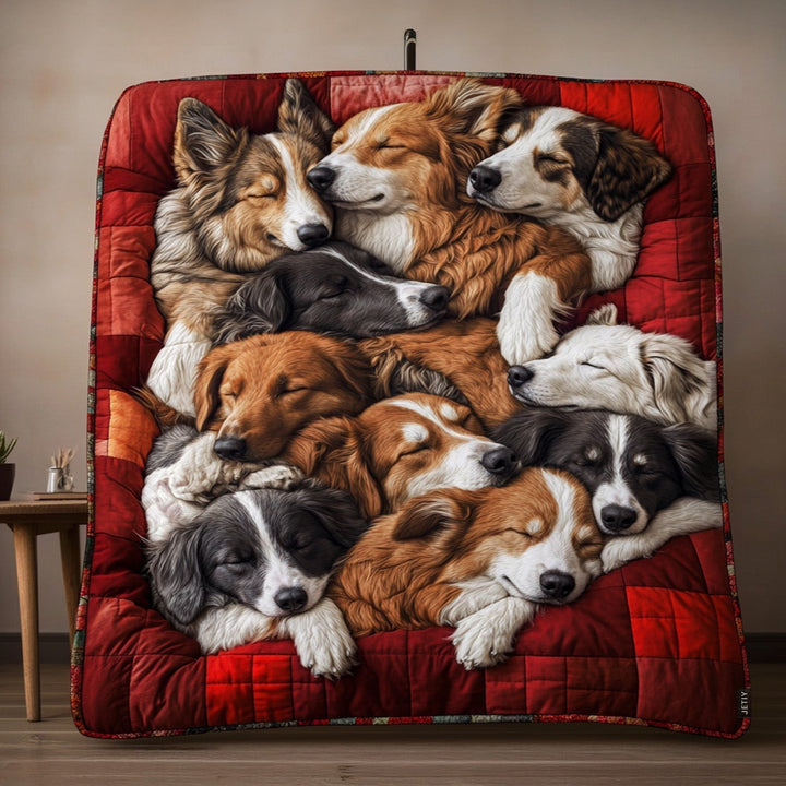 Couverture Matelassée Aussie Comfort NCU0PT2328